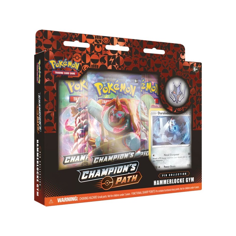 Pokemon - Champions Path - Hammerlocke Gym Pin Collection