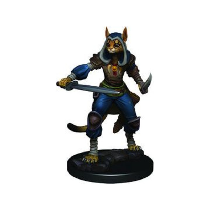 Wizkids - Dungeons and Dragons - Premium Figure - Tabaxi Rogue - 93012