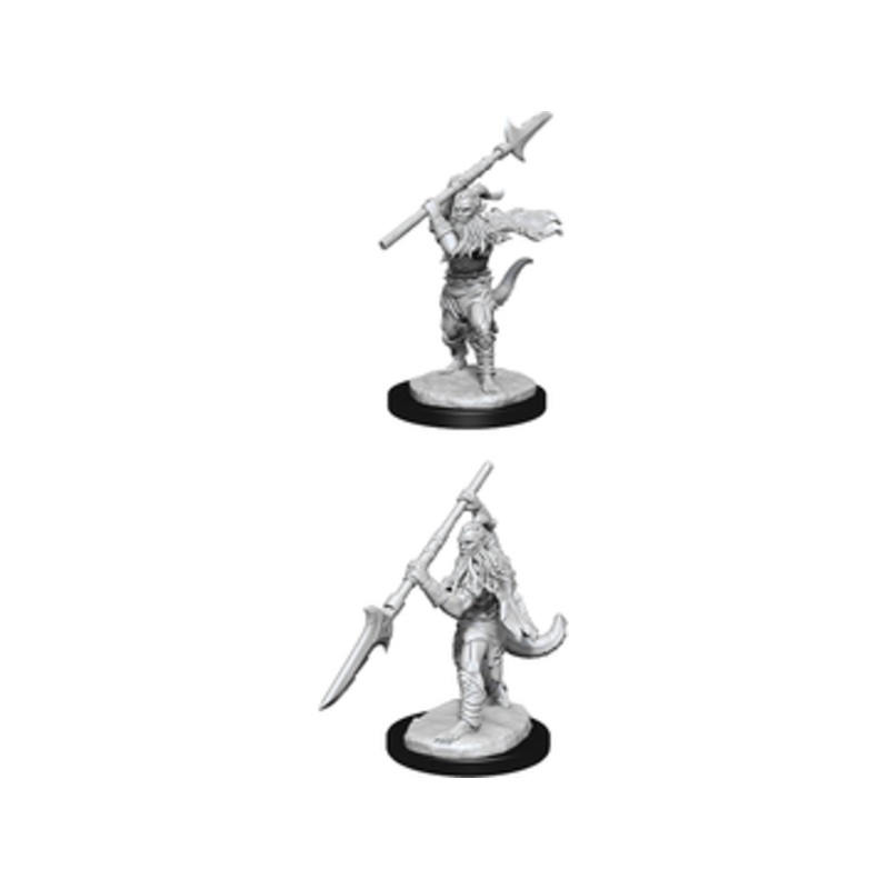 Wizkids - Dungeons and Dragons - Unpainted Miniature - Nolzurs Marvellous Miniatures - Bearded Devils - 90154
