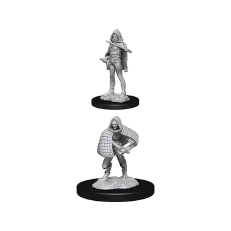 Wizkids - Dungeons and Dragons - Unpainted Miniature - Nolzurs Marvellous Miniatures - Darkling Elder/Darklings - 90156