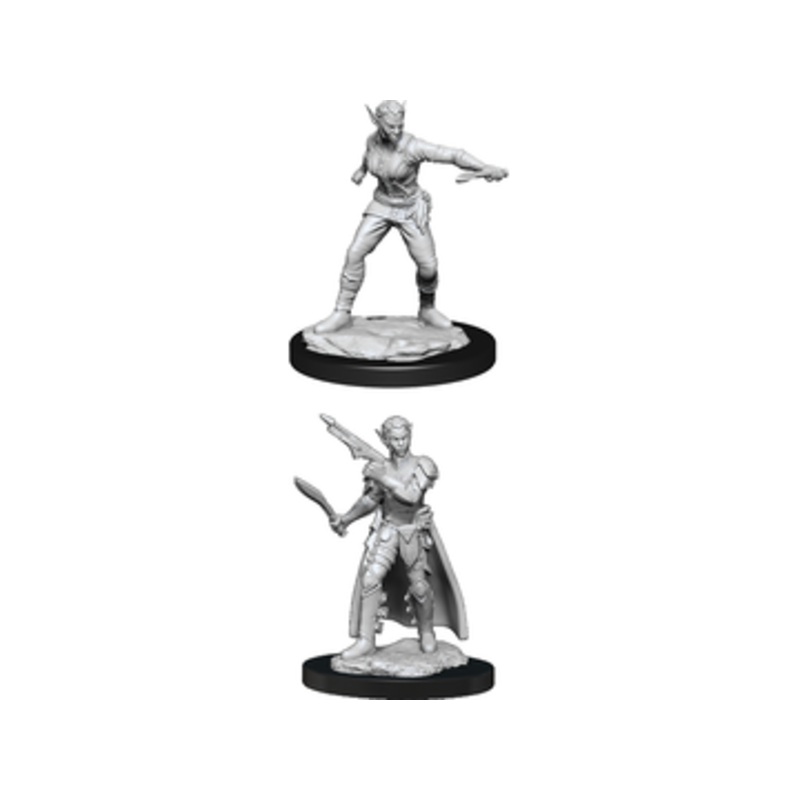 Wizkids - Dungeons and Dragons - Unpainted Miniature - Nolzurs Marvellous Miniatures - Shifter Female Rogue - 90148