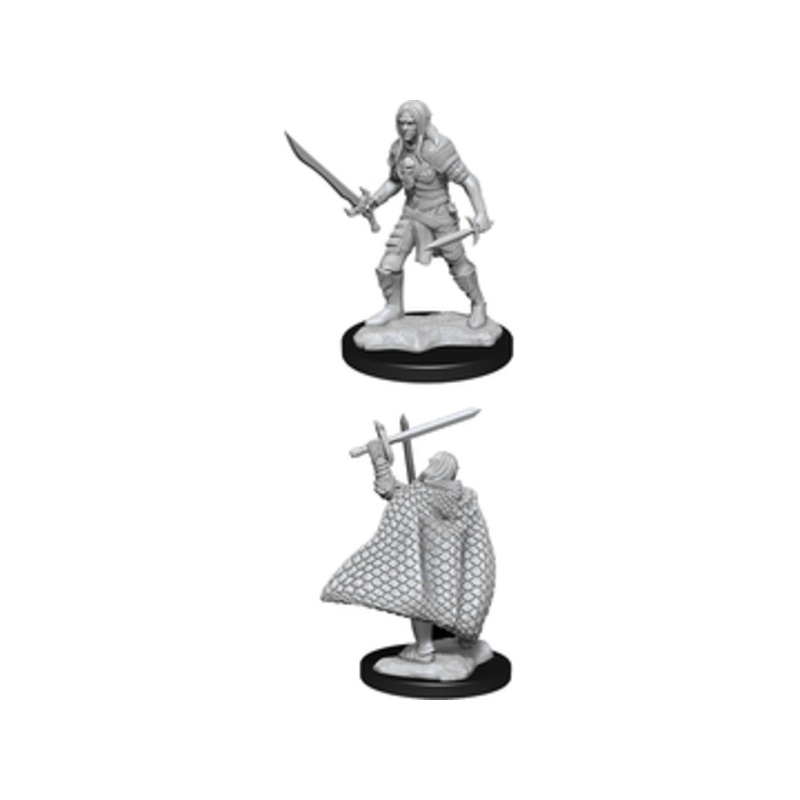 Wizkids - Pathfinder - Unpainted Miniature - Deep Cuts - Elf Male Fighter - 90169