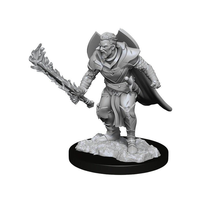 Paizo - Pathfinder - Unpainted Miniatures - Deep Cuts - Human Champion Male - 90263