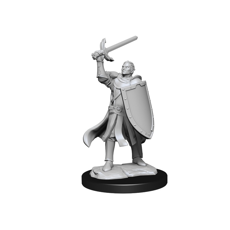 Wizkids - Dungeons and Dragons - Unpainted Miniature - Nolzurs Marvellous Miniatures - Half-Elf Paladin Male - 90230