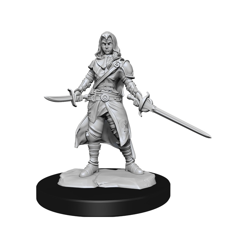 Wizkids - Dungeons and Dragons - Unpainted Miniature - Nolzurs Marvellous Miniatures - Half-Elf Rogue Female - 90228