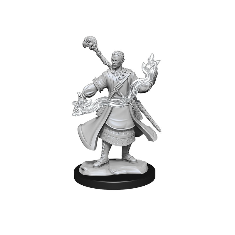 Wizkids - Dungeons and Dragons - Unpainted Miniature - Nolzurs Marvellous Miniatures - Half-Elf Wizard Male - 90229