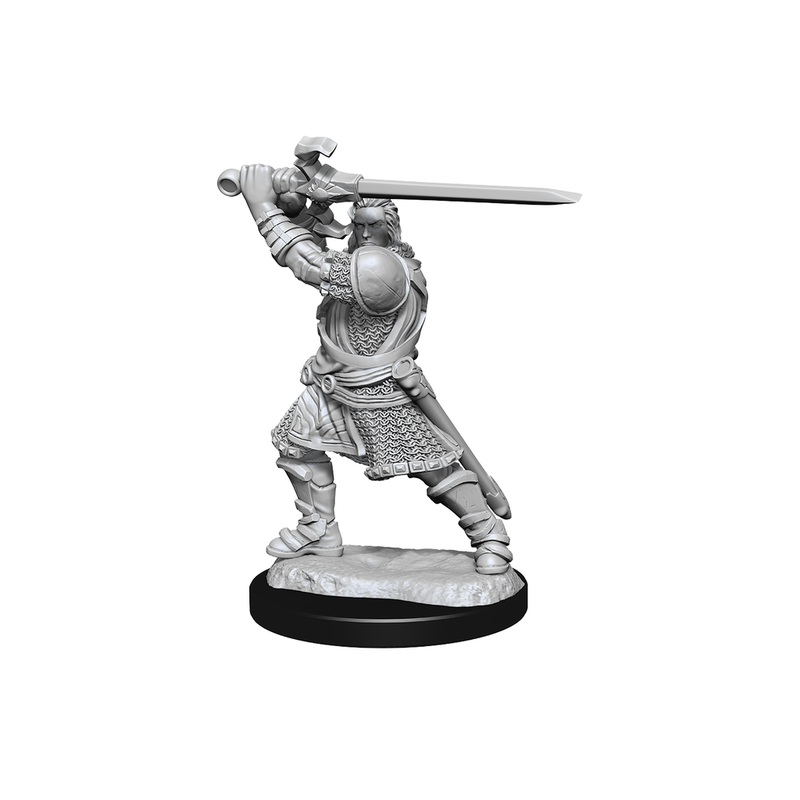 Wizkids - Dungeons and Dragons - Unpainted Miniature - Nolzurs Marvellous Miniatures - Human Male Paladin - 90220