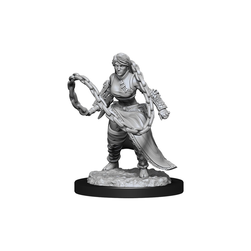 Wizkids - Dungeons and Dragons - Unpainted Miniature - Nolzurs Marvellous Miniatures - Human Monk Female - 90225