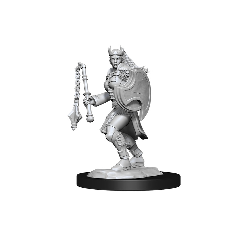 Wizkids - Dungeons and Dragons - Unpainted Miniature - Nolzurs Marvellous Miniatures - Kalashtar Cleric Female - 90233
