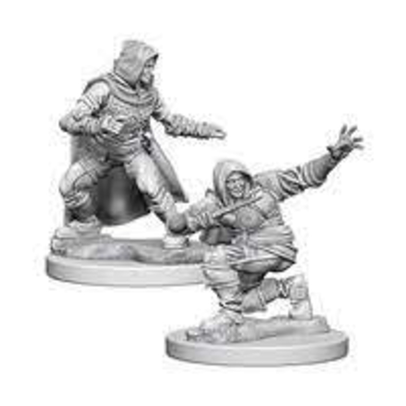 Nolzer's Marvelous Miniatures: Male Human Rogue