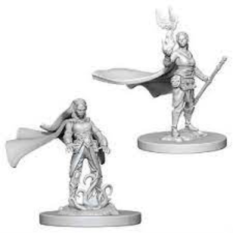 Nolzer's Marvolous Miniatures: Elf Druid