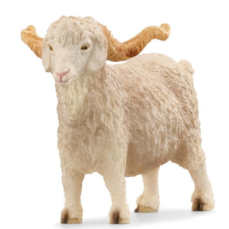Agnora Goat