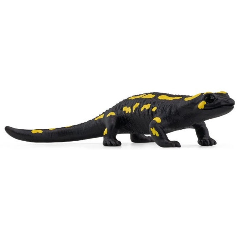 Fire Salamander
