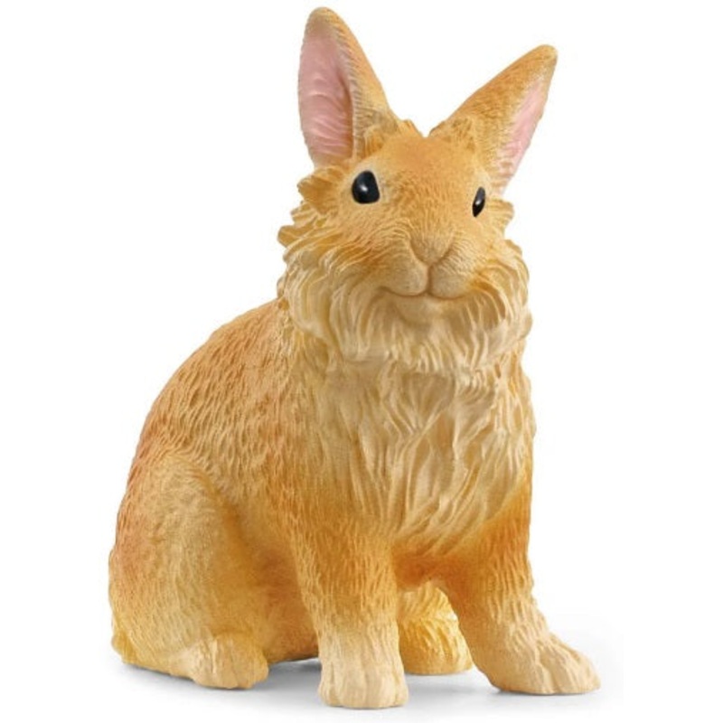 Lionhead Rabbit