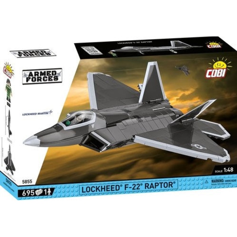 Lockheed F-22 Raptor Fighter Jet 695pc