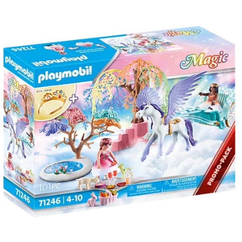 Magic Picnic with Pegasus Carriage