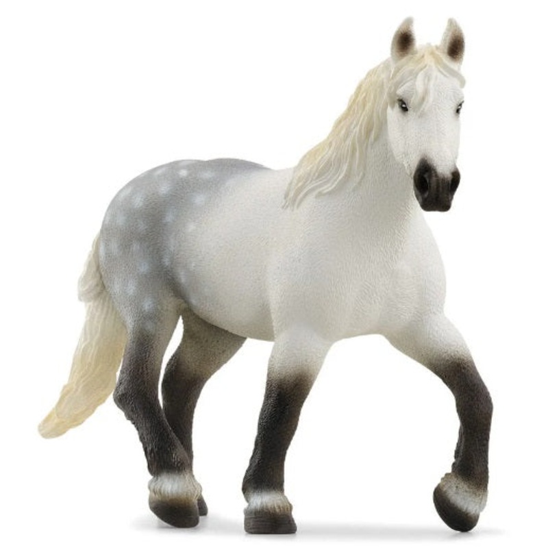 Percheron Mare