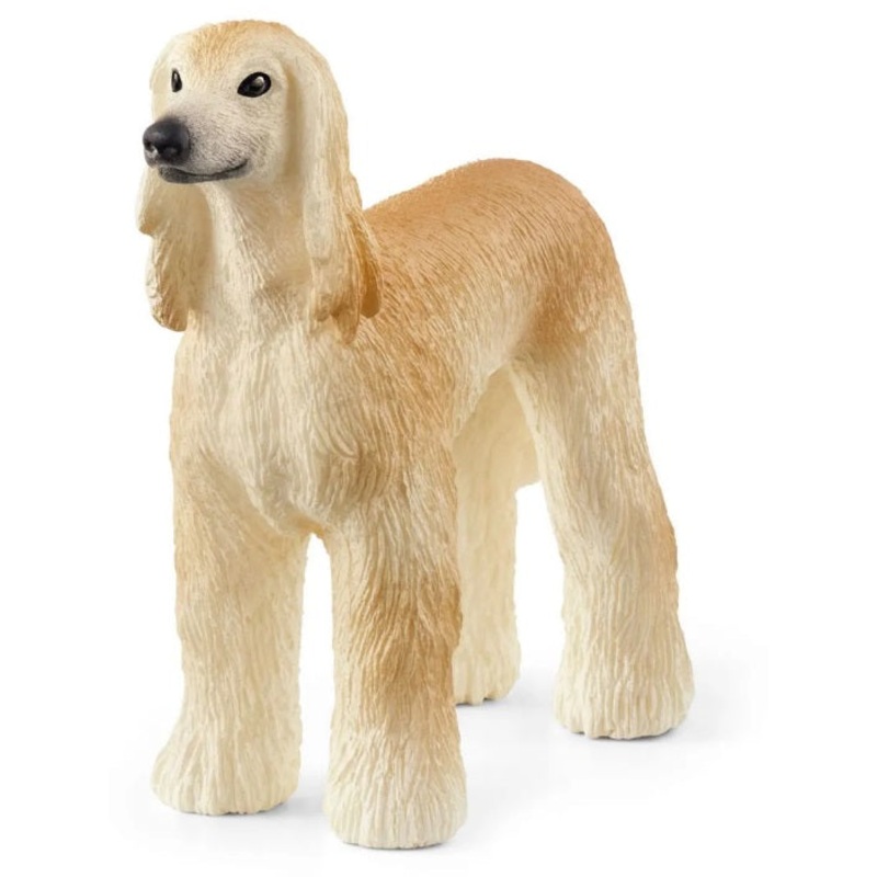 Afghan Hound