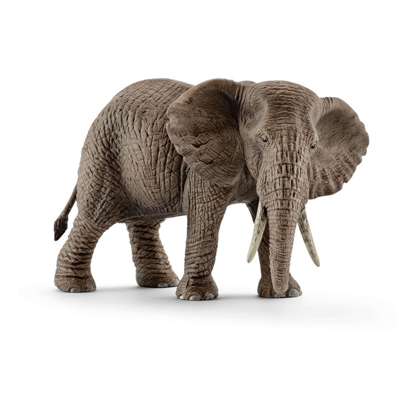 African Elephant, Female