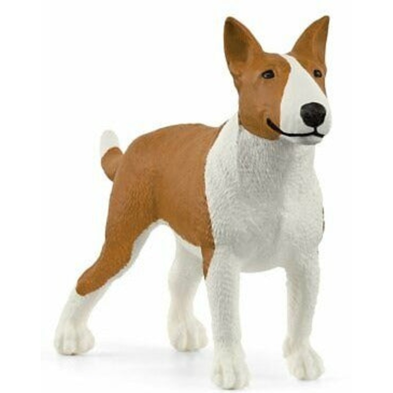 Bull Terrier