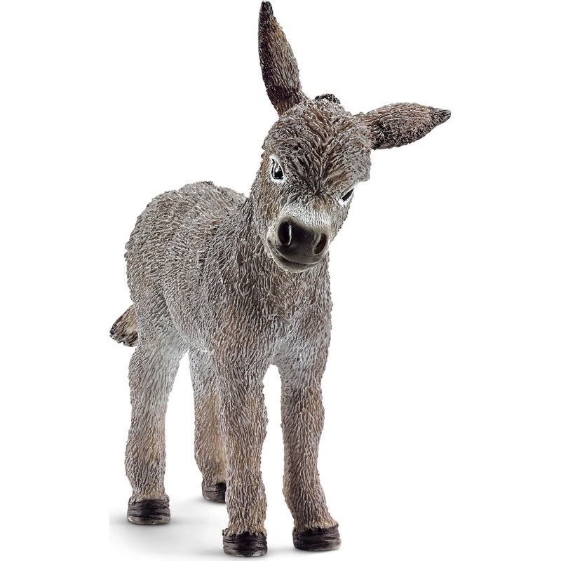 Donkey Foal