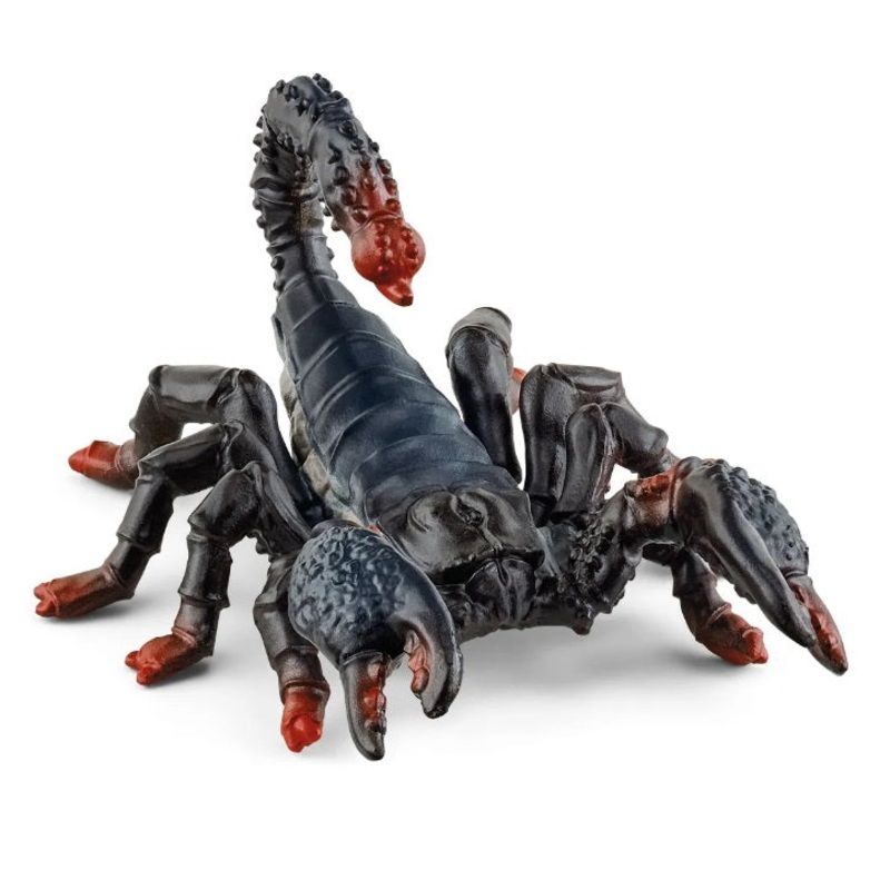 Emperor Scorpion