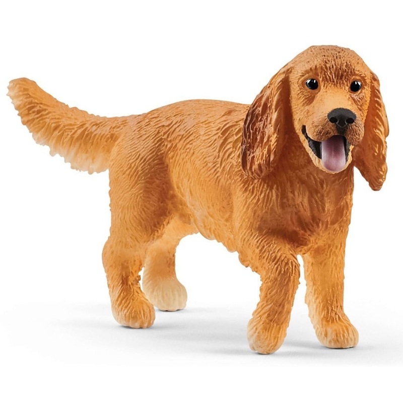English Cocker Spaniel