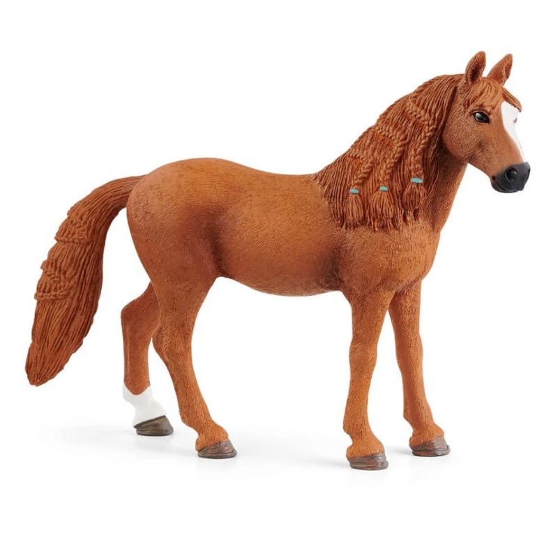 German Riding Pony Mare