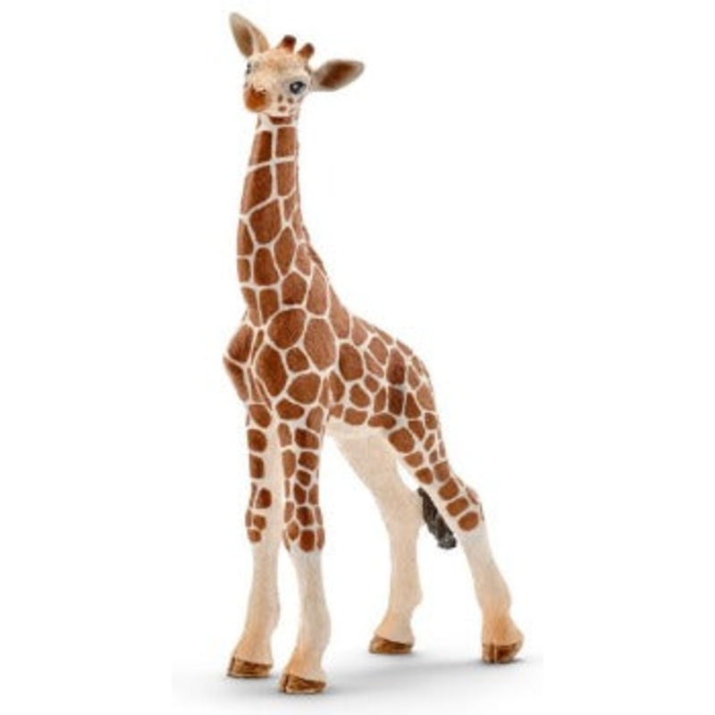 Giraffe Calf
