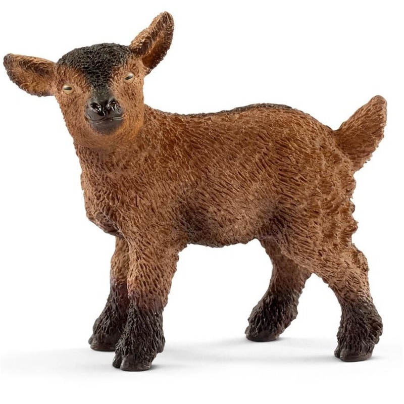 Goat Kid