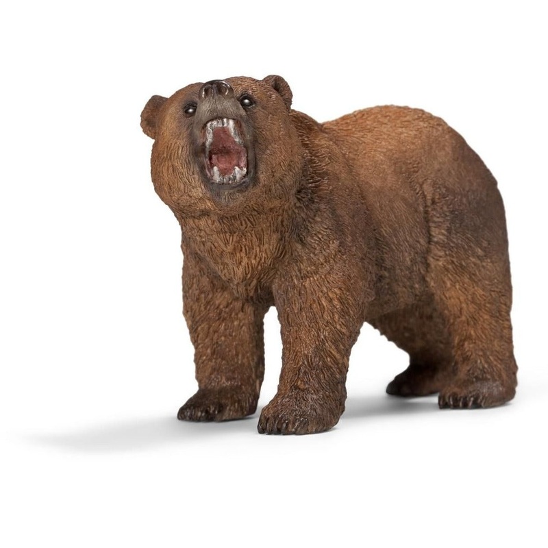 Grizzly Bear
