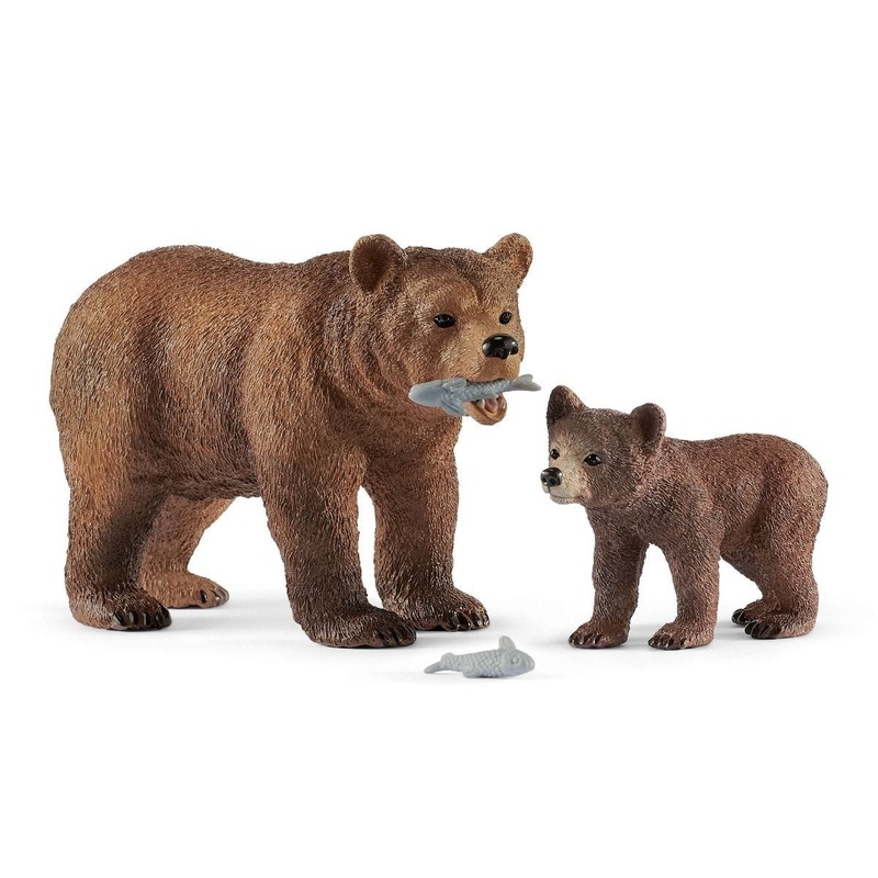 Grizzly Bear Mother & Cub