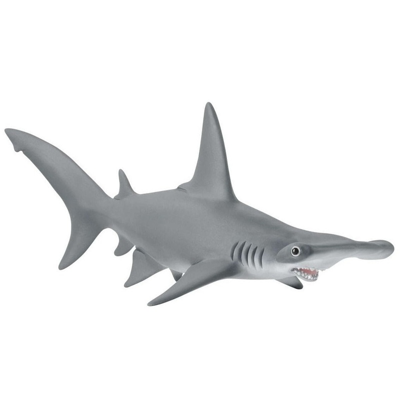 Hammerhead Shark