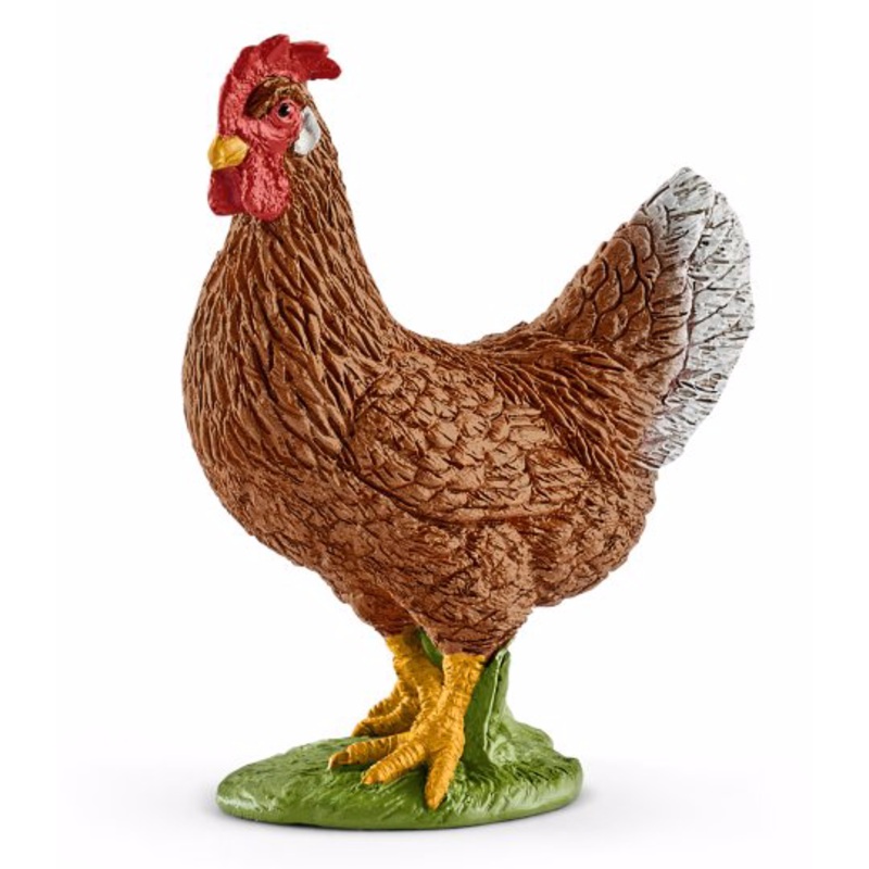 Hen