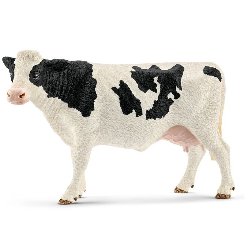 Holstein Cow