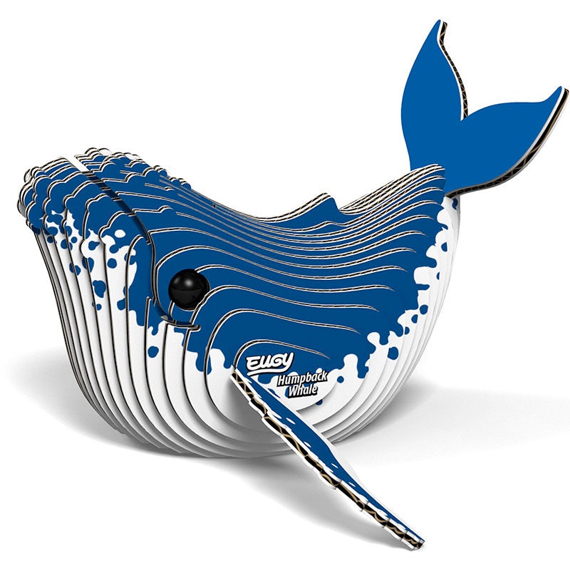 Humpback Whale Eugy