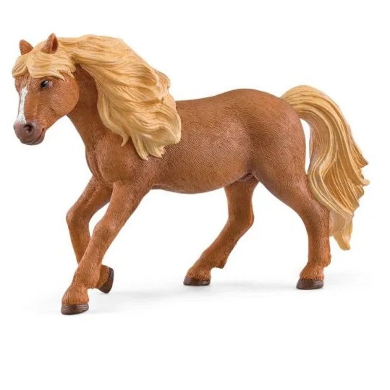 Iceland Pony Stallion
