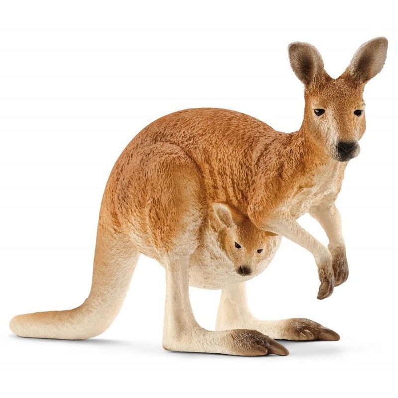 Kangaroo