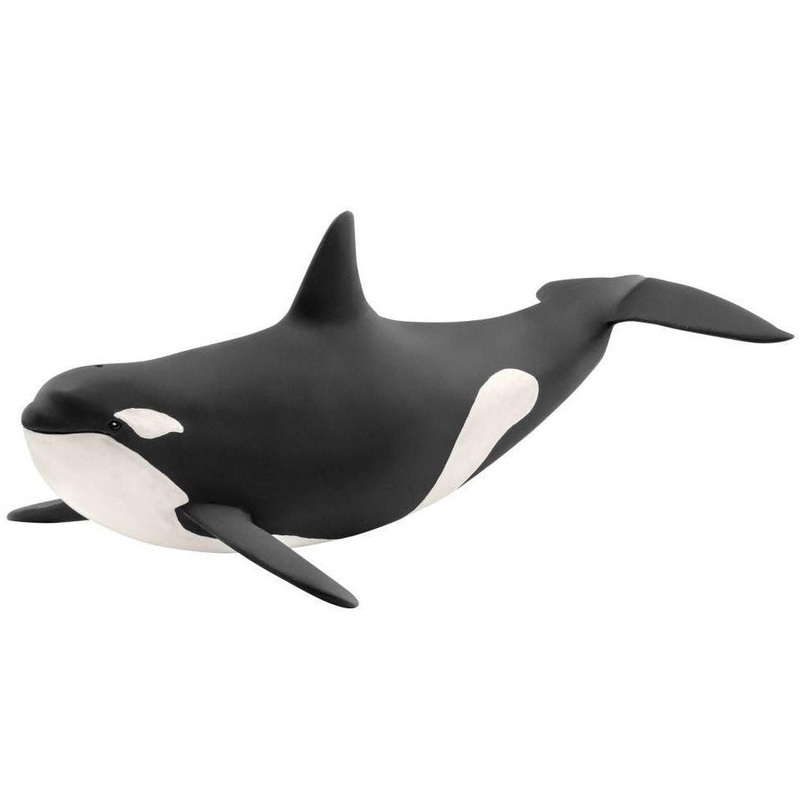 Killer Whale