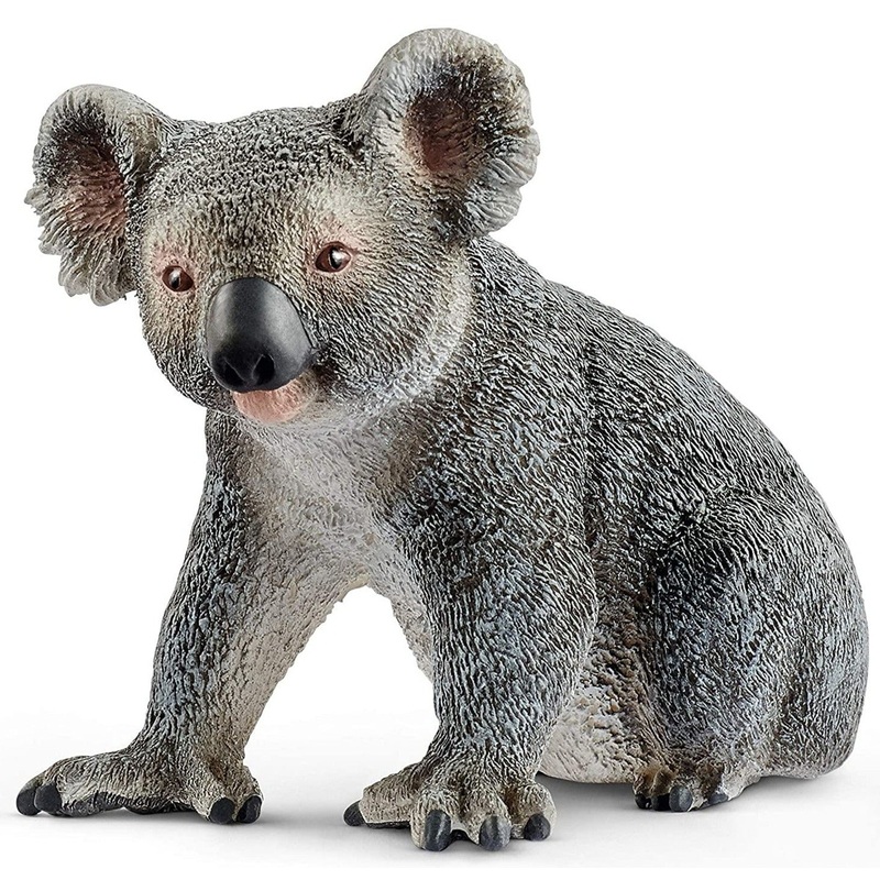 Koala Bear