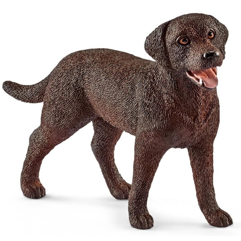 Labrador Retriever Female