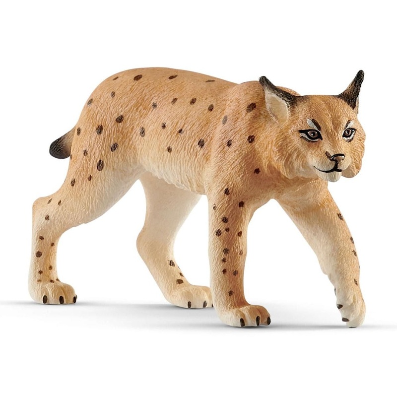 Lynx