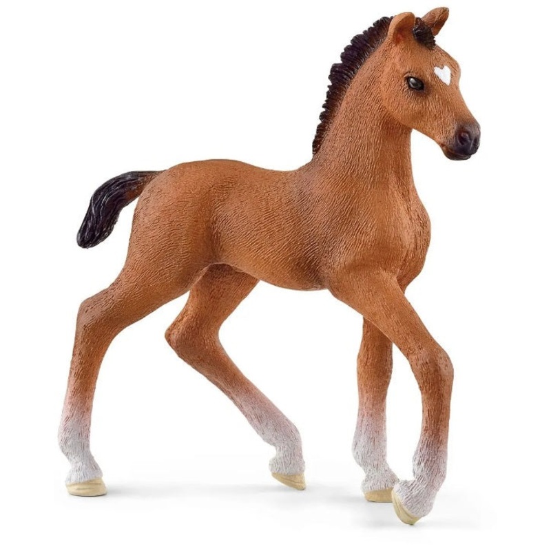 Oldenburger Foal