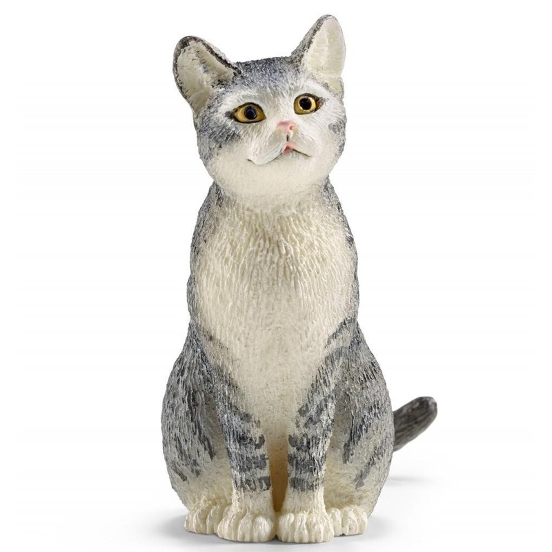 Sitting Cat