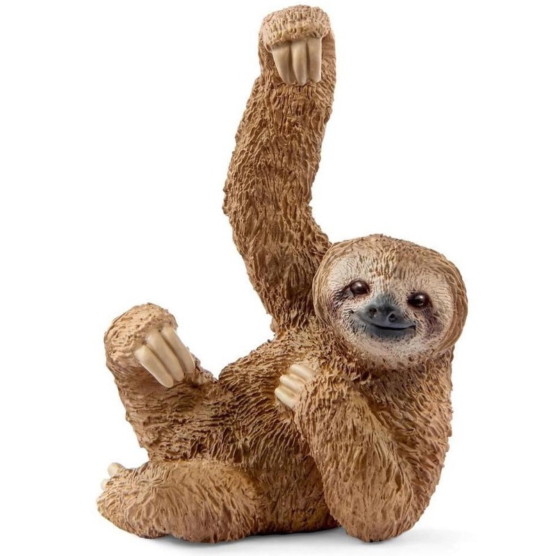 Sloth