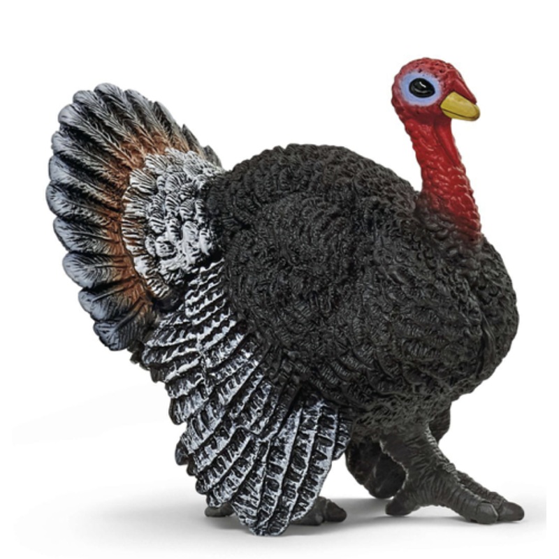 Turkey