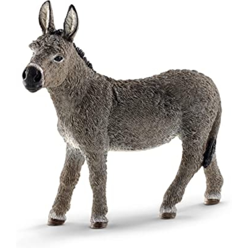 Donkey