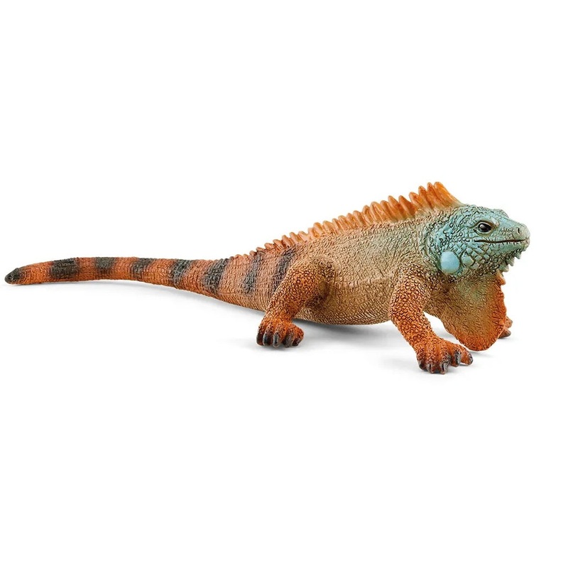 Iguana