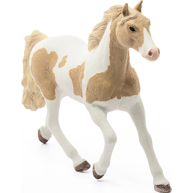 Paint Horse Mare