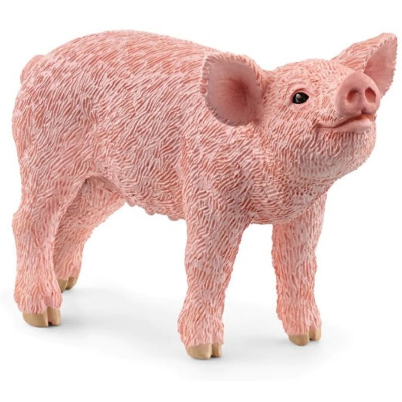 Piglet